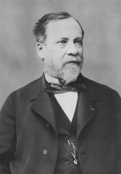 Porträt von Louis Pasteur von Pierre Petit